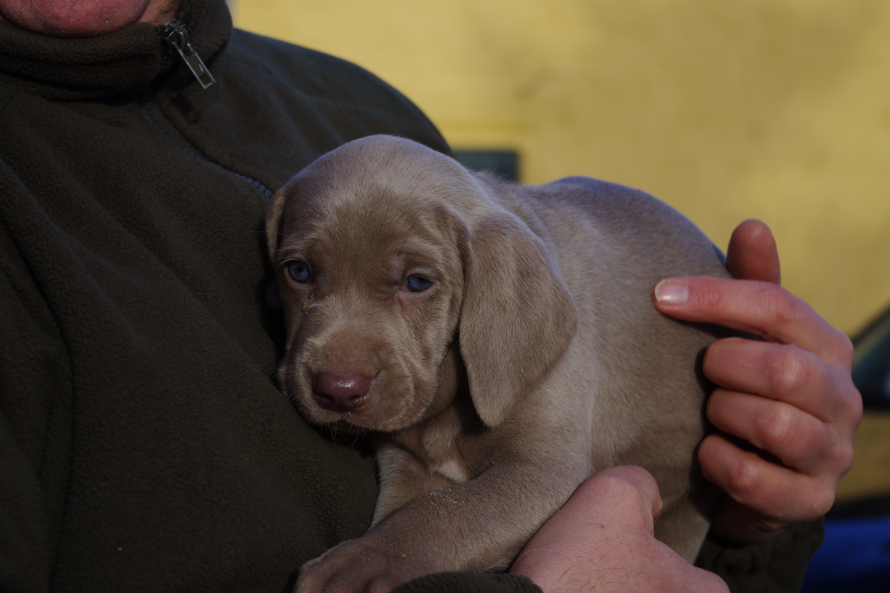 Homepage der Familie Roß_Fuhrken